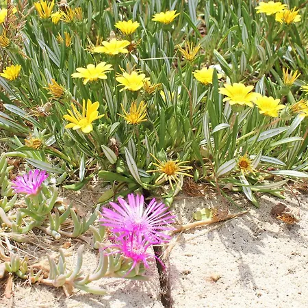 Le Sete 3* バーリ