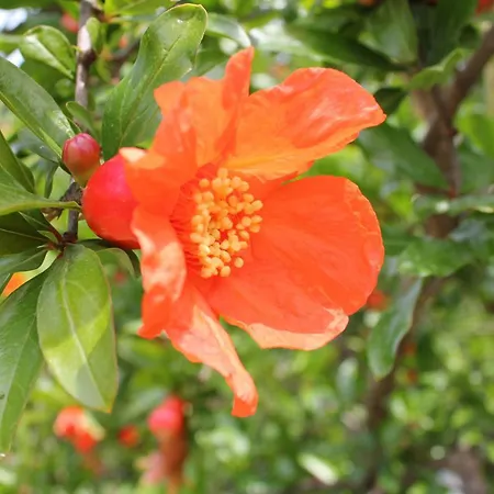 ベッド・アンド・ブレックファスト Le Sete バーリ