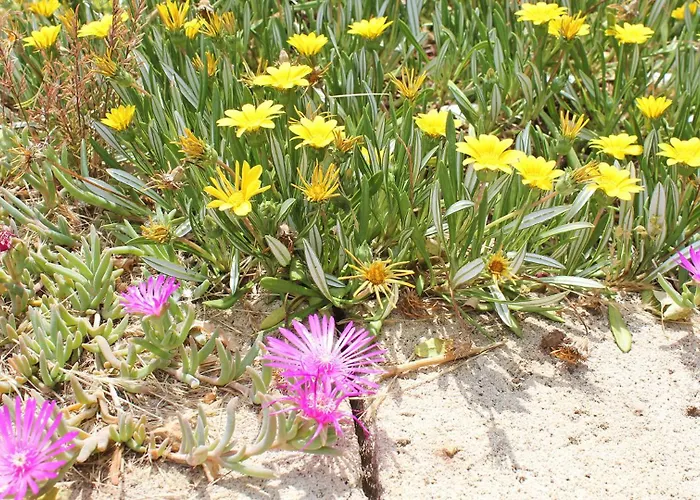 Le Sete 3* バーリ