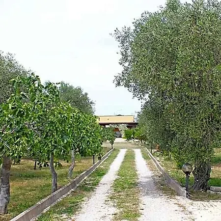 Bed and breakfast Le Sete Bari