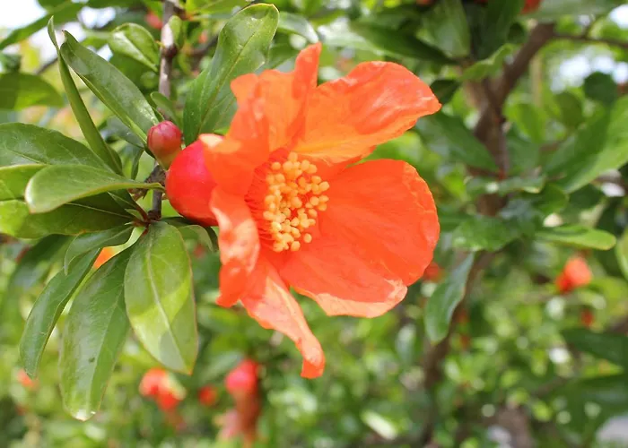 Couette-café Le Sete Bari